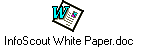InfoScout White Paper.doc